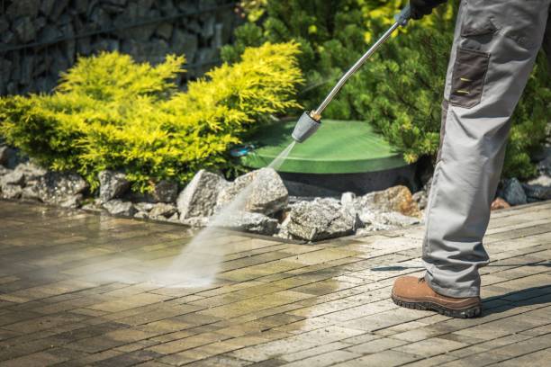 Best Soft Washing  in Princeton, FL