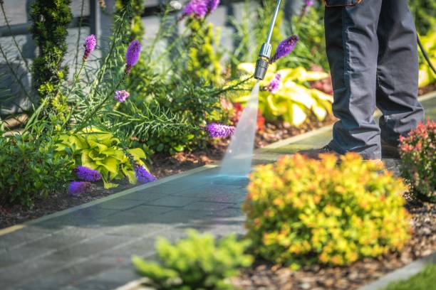 Best Post-Construction Pressure Washing  in Princeton, FL