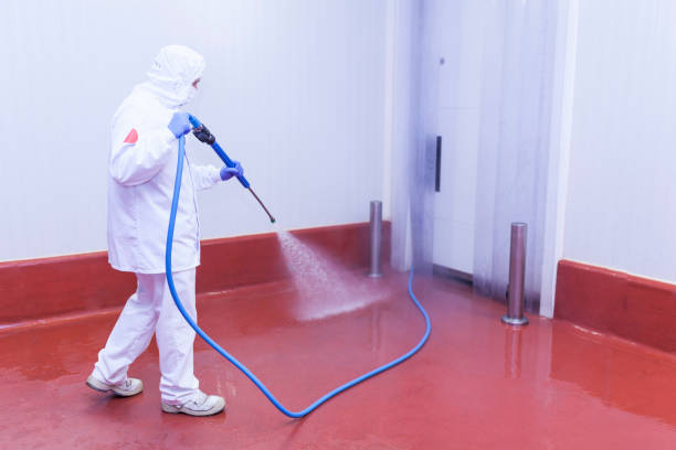 Best Pre-Holiday Cleaning  in Princeton, FL