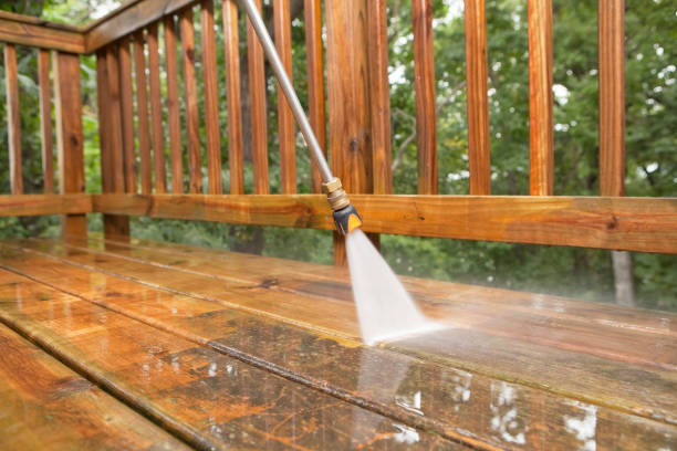 Animal Enclosure Cleaning in Princeton, FL